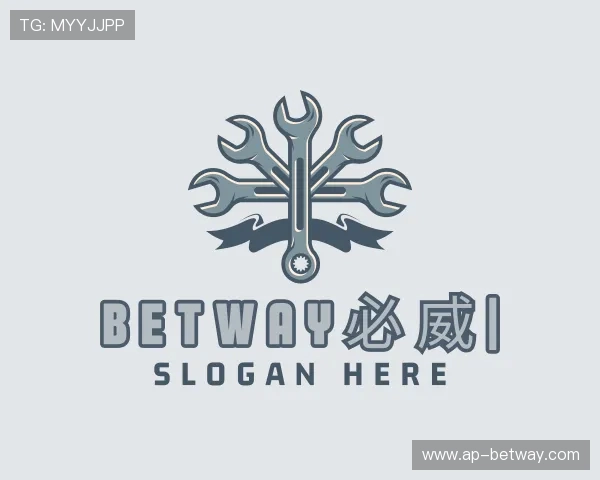 介绍BETWAY必威